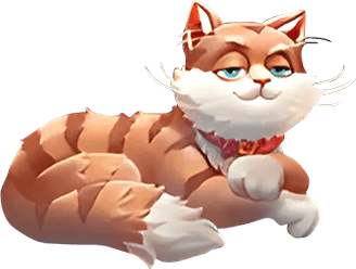 image cat